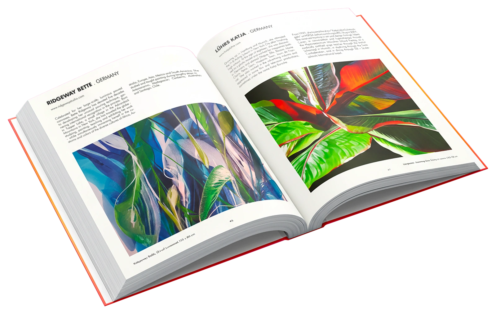 aA artbook, spread with two paintings